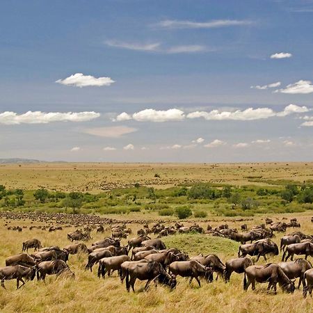 Mara Intrepids Tented Camp Villa Talek Eksteriør billede