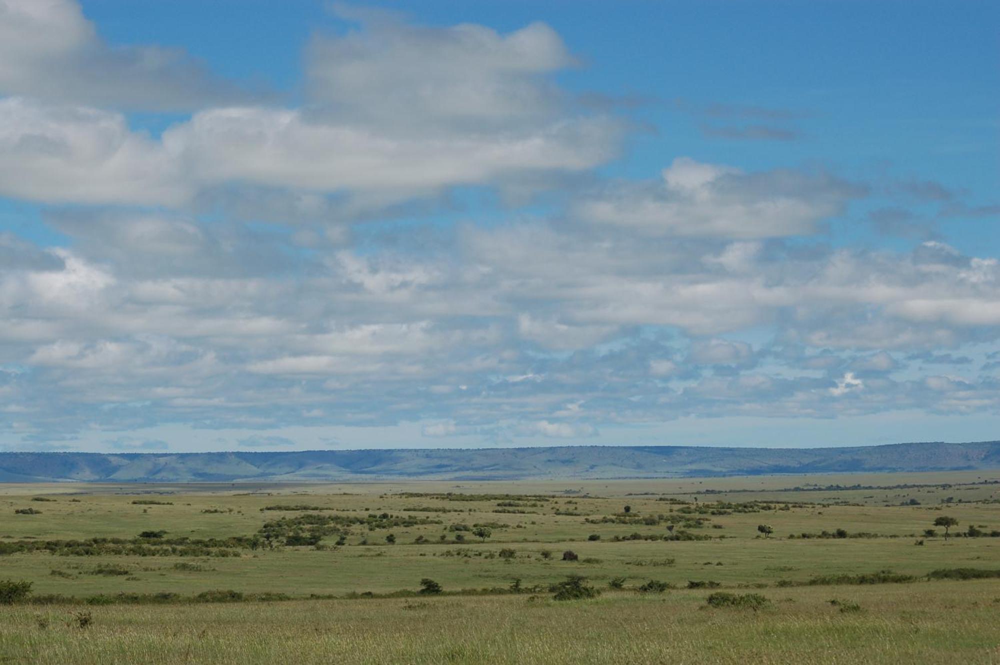 Mara Intrepids Tented Camp Villa Talek Eksteriør billede