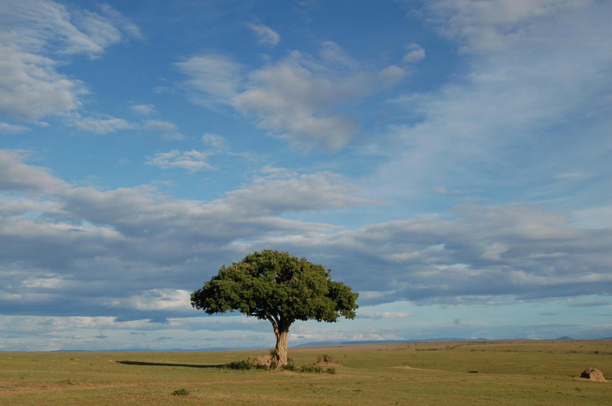 Mara Intrepids Tented Camp Villa Talek Eksteriør billede