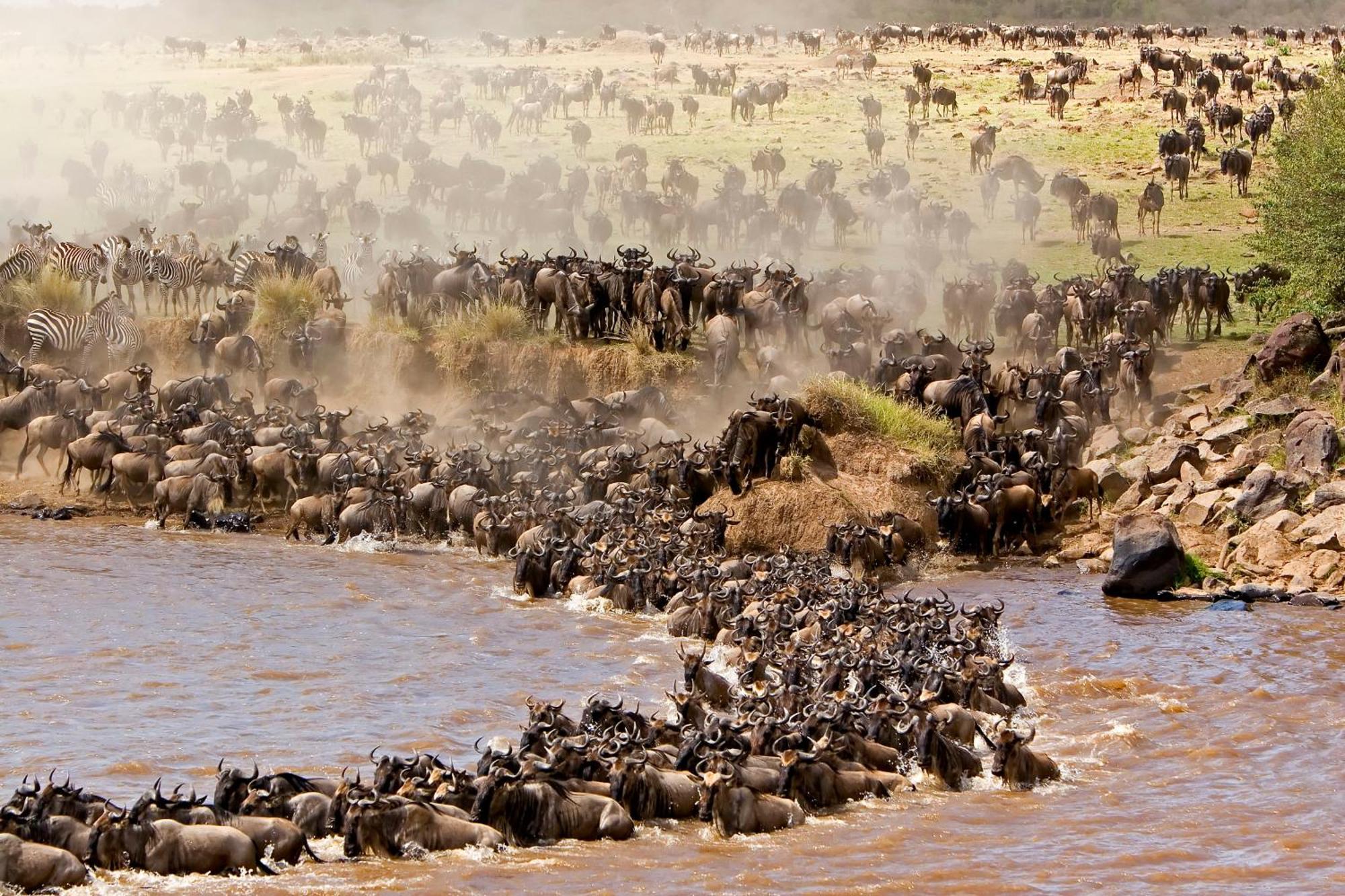 Mara Intrepids Tented Camp Talek Eksteriør billede